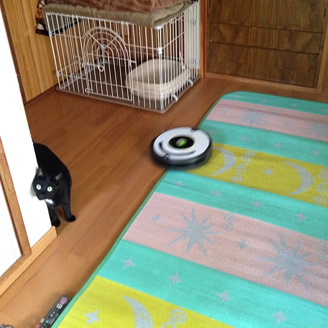 部屋全体/ネコ/ルンバ/ペットのインテリア実例 - 2014-07-11 16:48:40