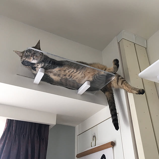 mikomaruさんの実例写真