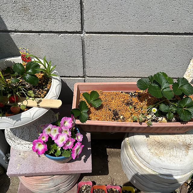 ikunyanさんの部屋