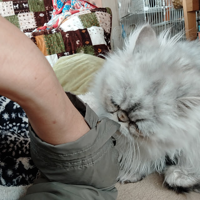 makaronさんの実例写真