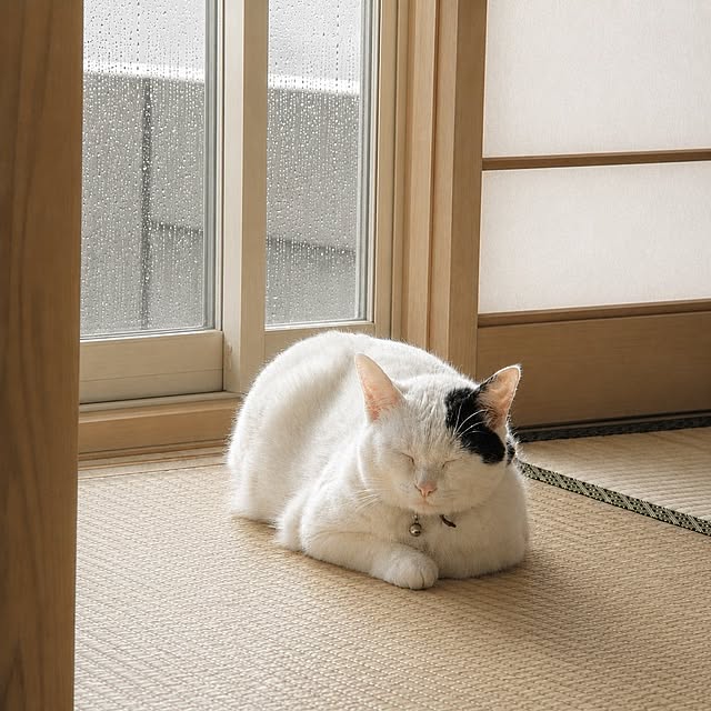 MADOshop_Asagayakitaさんの実例写真
