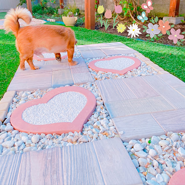 NAONAOさんの実例写真