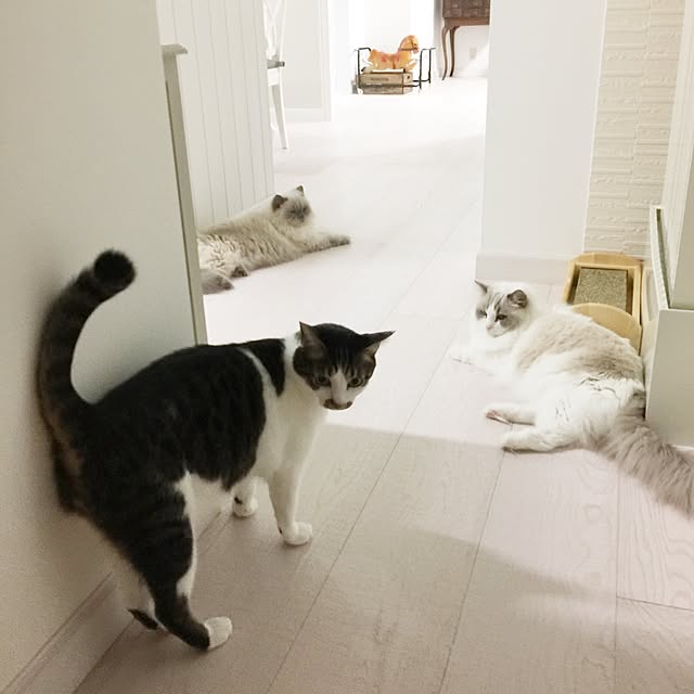 yuchiさんの実例写真