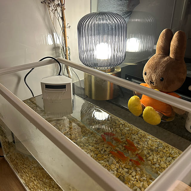 miffy.0044さんの部屋