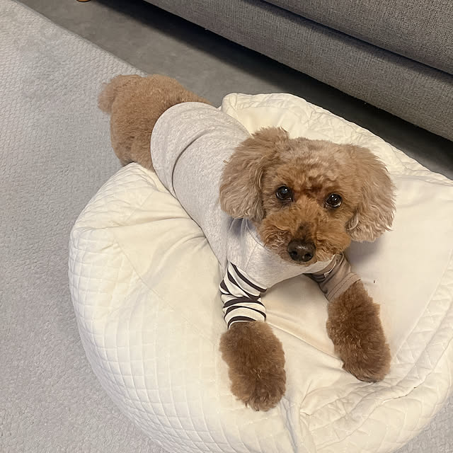 cocoaさんの部屋