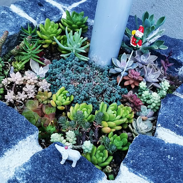 YUMINN11さんの実例写真