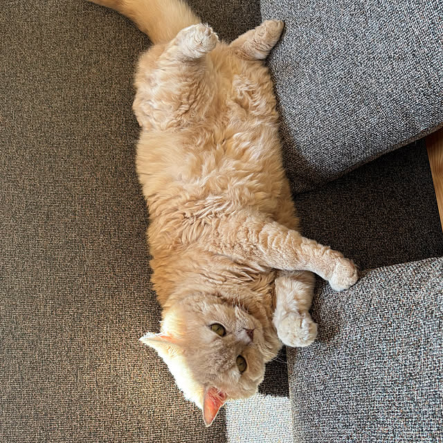 naokoさんの部屋