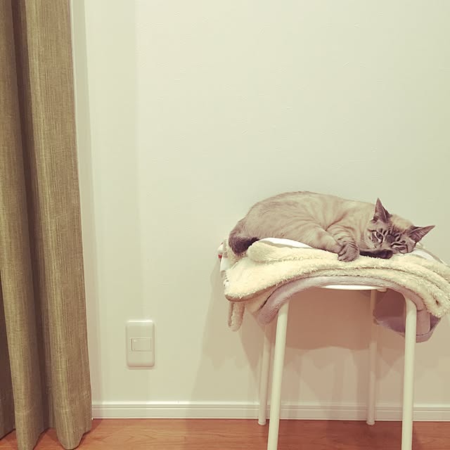 myk93さんの実例写真