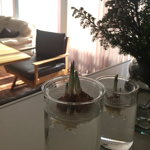 meloさんの実例写真