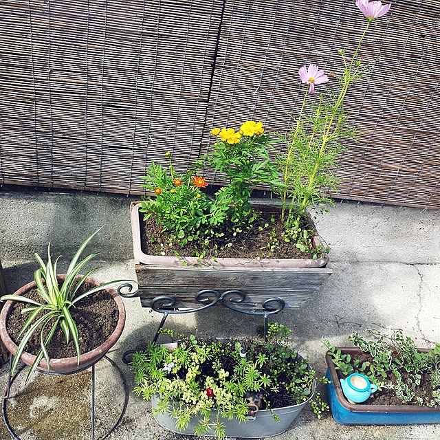 seiさんの実例写真