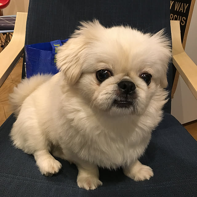 akisanさんの実例写真