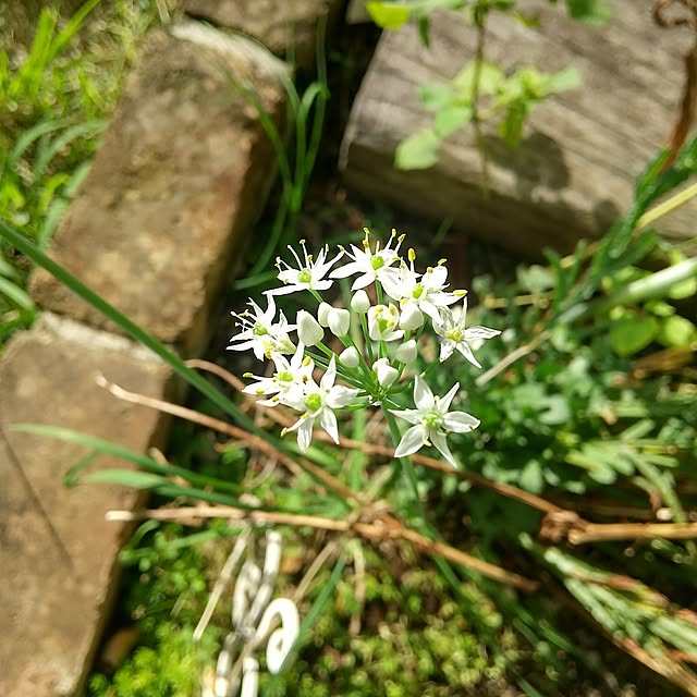 Rさんの部屋