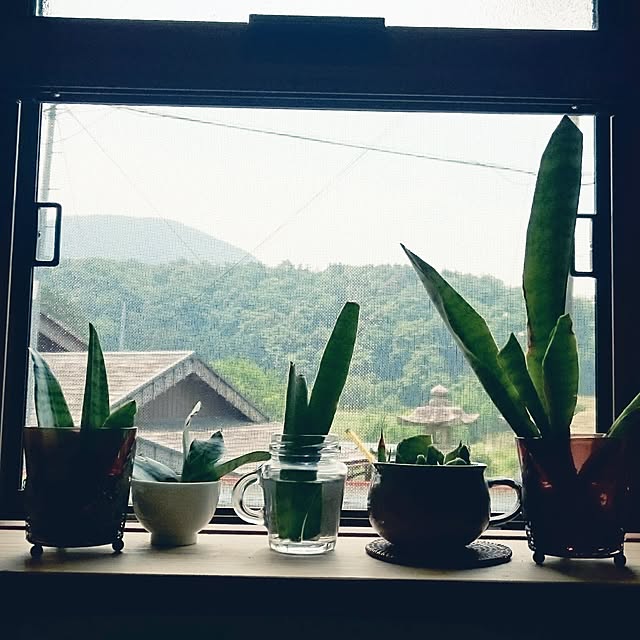 eigoさんの実例写真