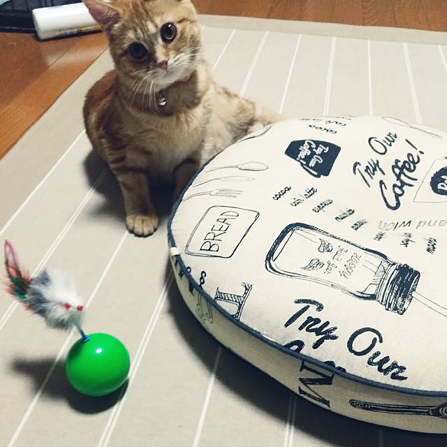 fruityanさんの実例写真