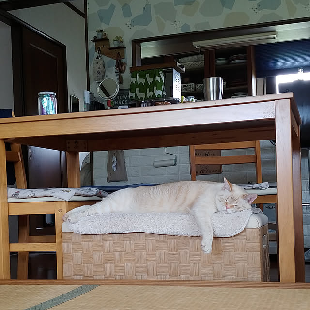 mntcさんの実例写真