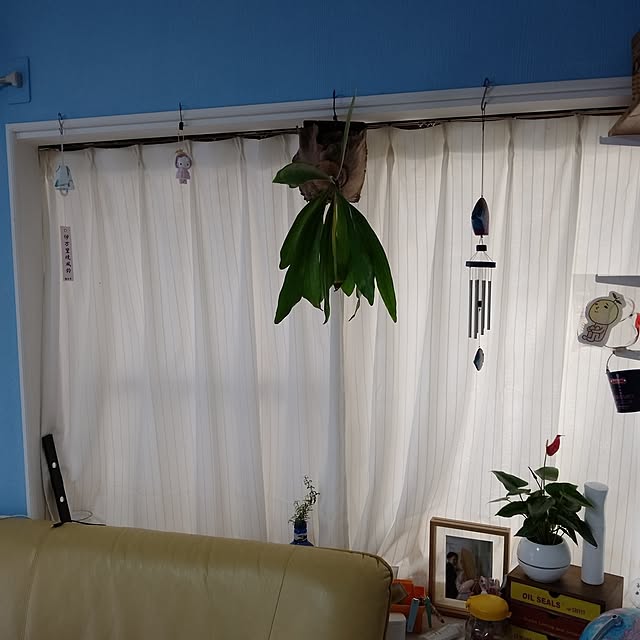 boston5757さんの実例写真