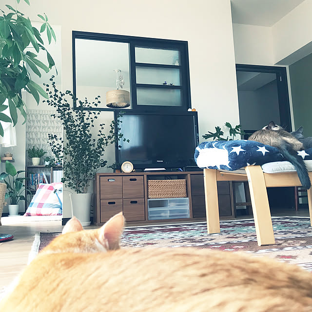73さんの実例写真