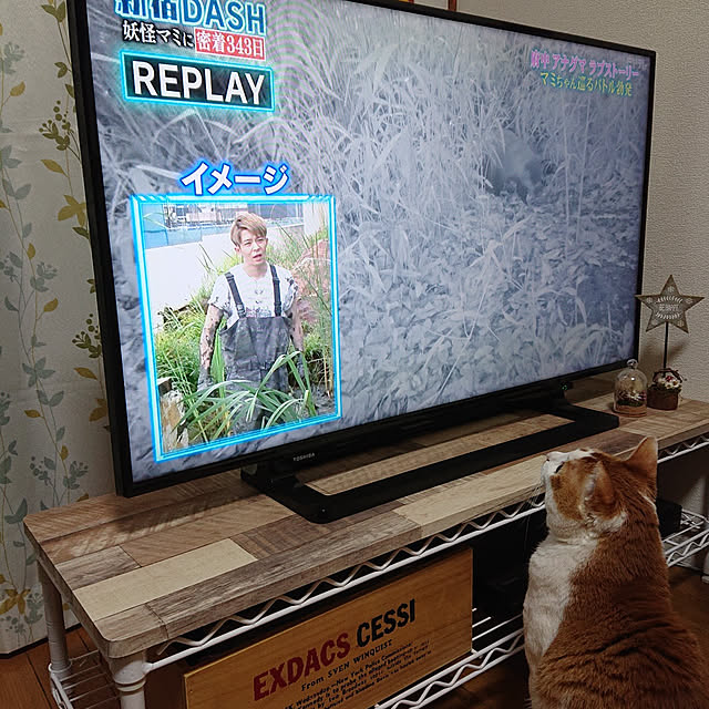 mugi77327732さんの実例写真