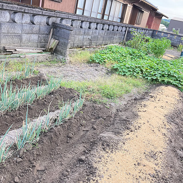 kanataroさんの実例写真