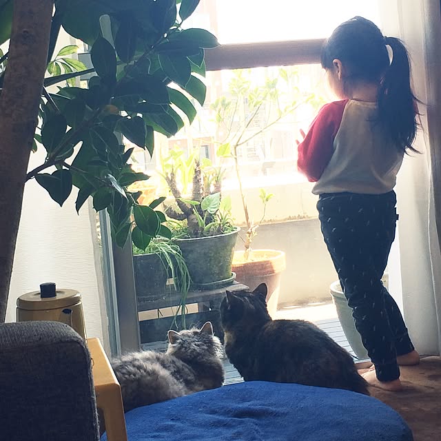 reina_kkkさんの実例写真