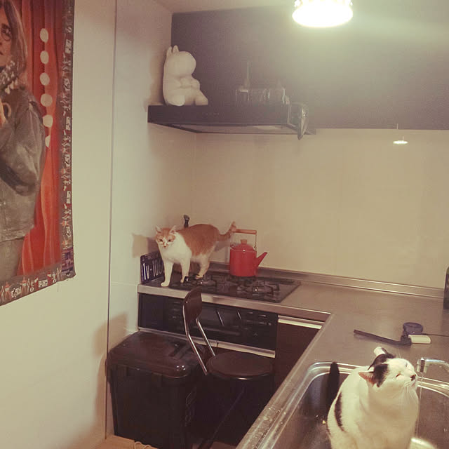 noguchiken0102さんの実例写真