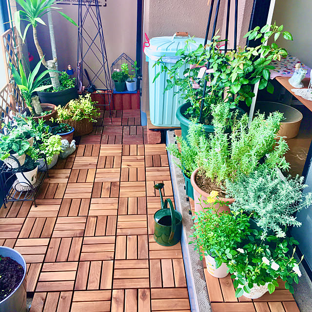 naokoさんの部屋