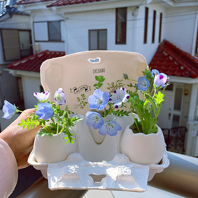 eshinobumさんの実例写真