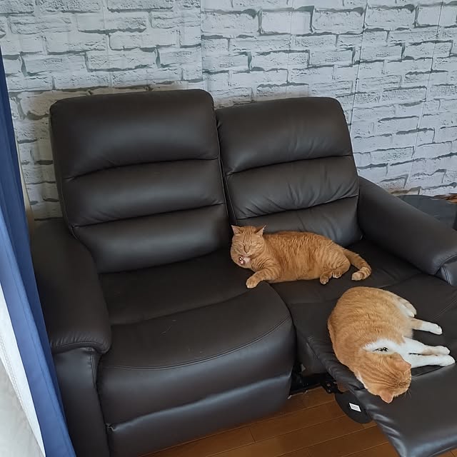 NOAHさんの部屋