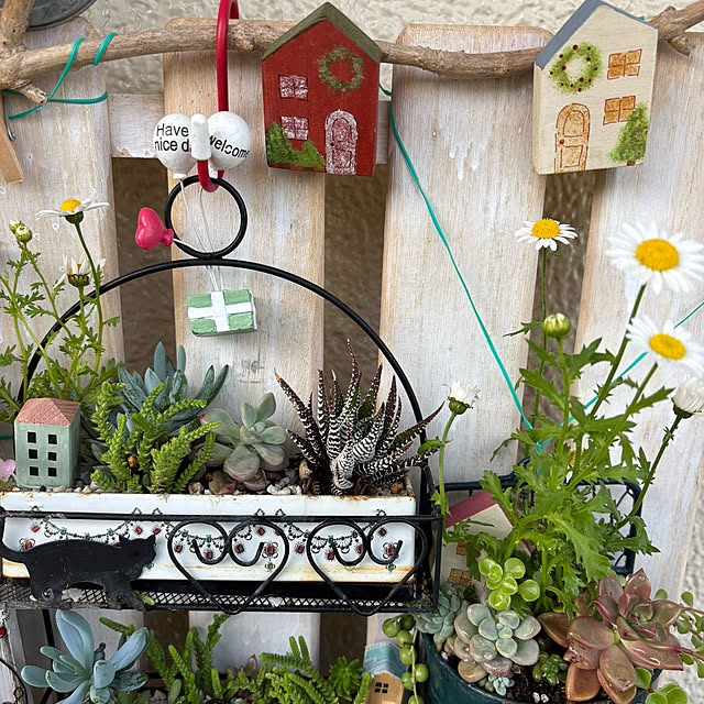 syutmmさんの実例写真