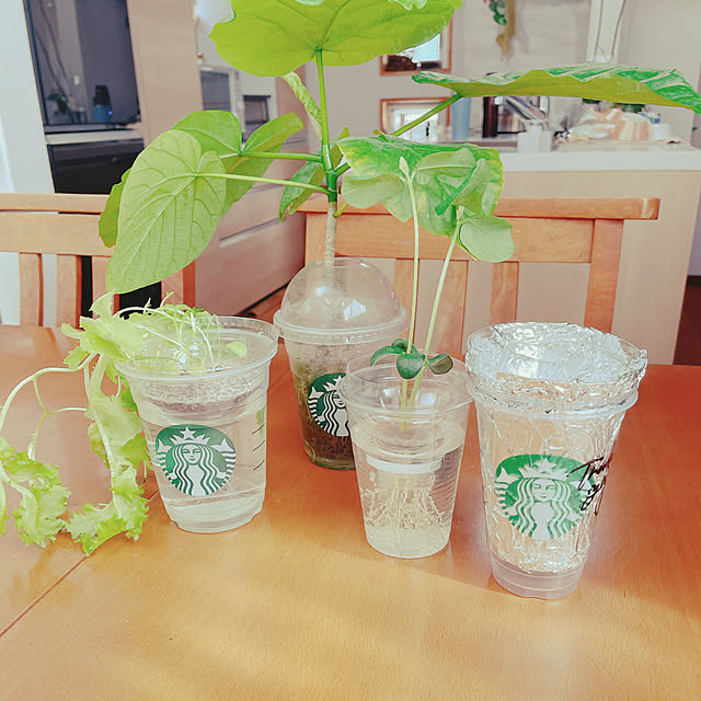 nahonさんの実例写真