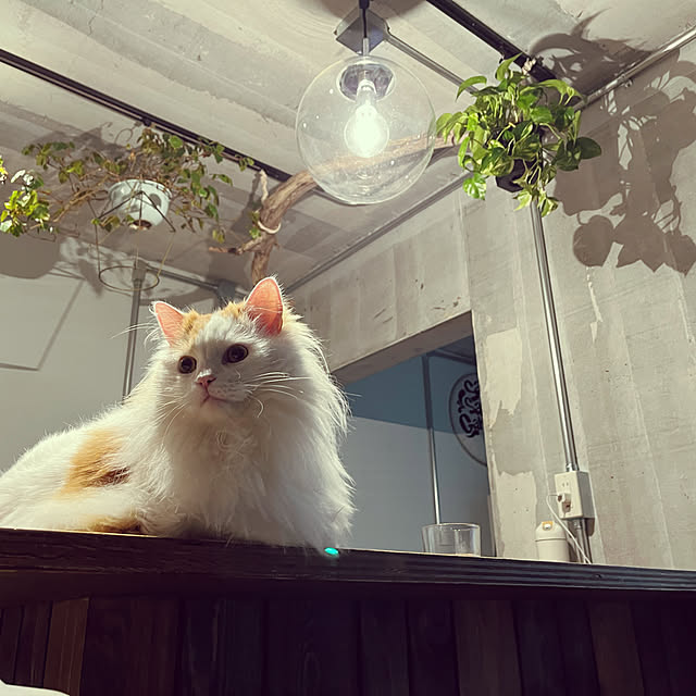 ____m6__56さんの実例写真