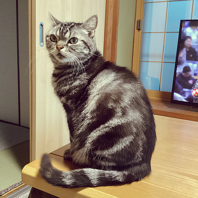 richanさんの部屋