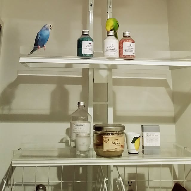 m-kinocoさんの実例写真