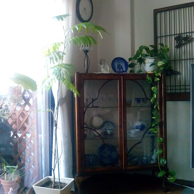 Yukio23kuniko07さんの実例写真