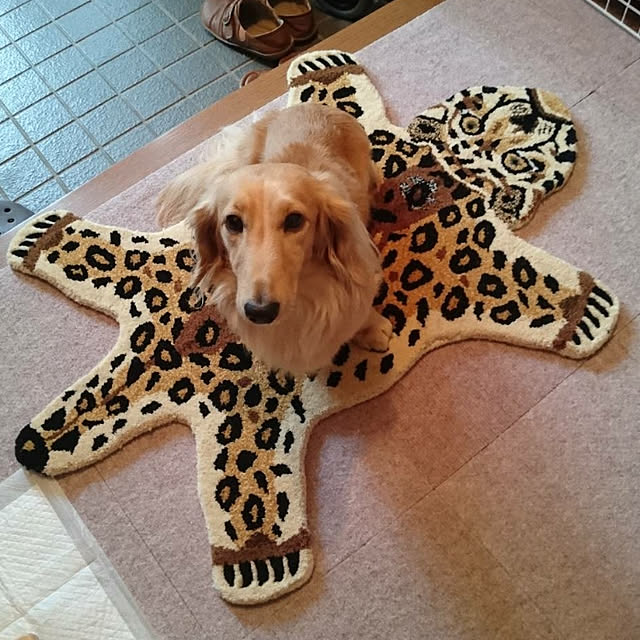 rekomamaさんの実例写真