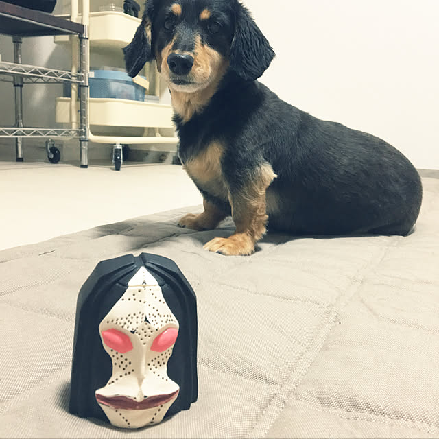 ohanaさんの実例写真