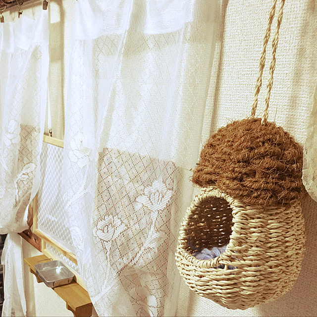 ManaShiさんの実例写真