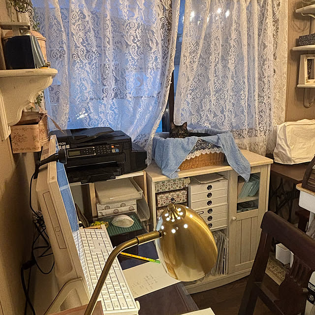 momocchiさんの実例写真