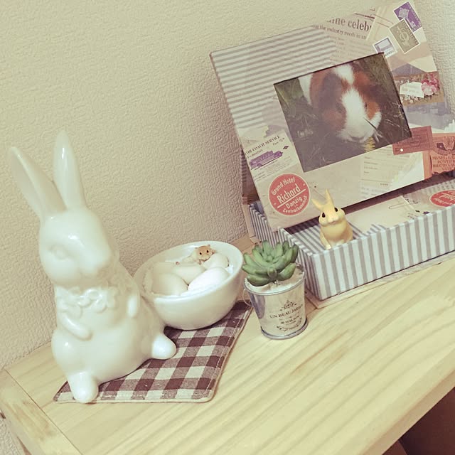 sasanquaさんの実例写真