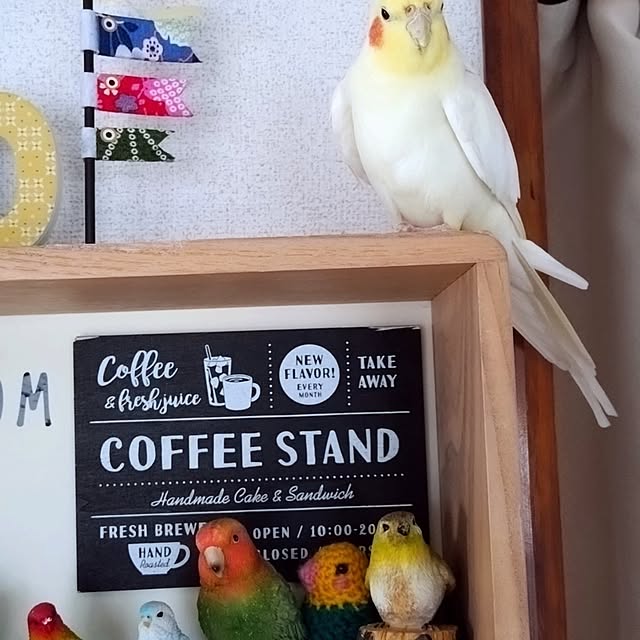toratanさんの部屋