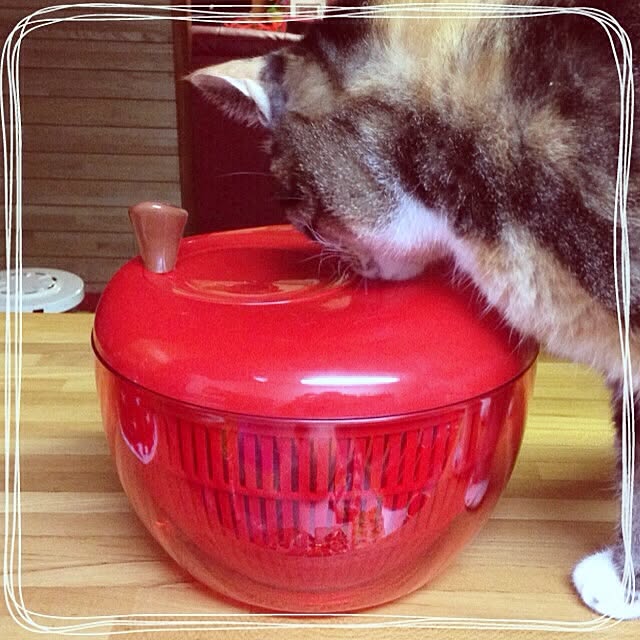 MIYAZOさんの実例写真