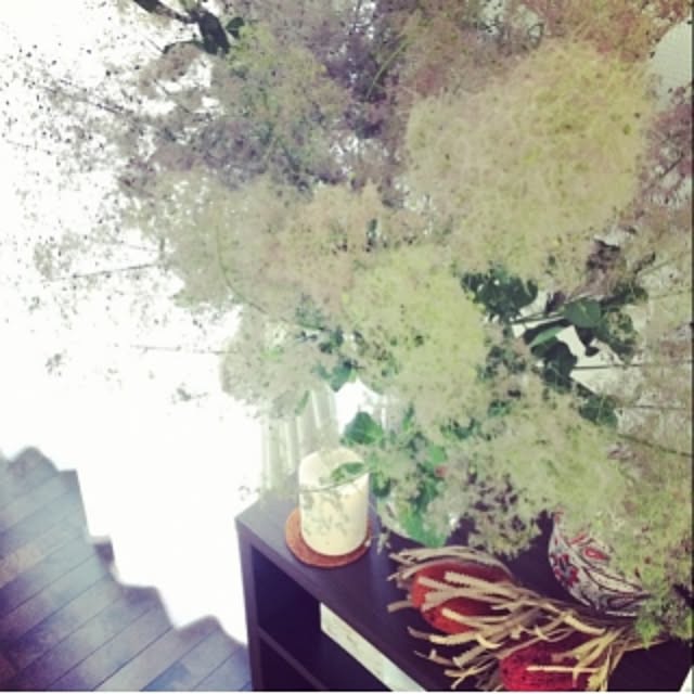 jj.chanmikiさんの実例写真