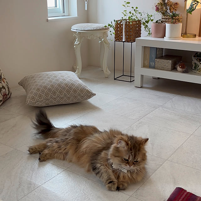 miyu39さんの部屋