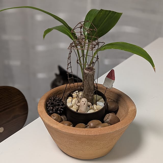 mori_6_12さんの実例写真