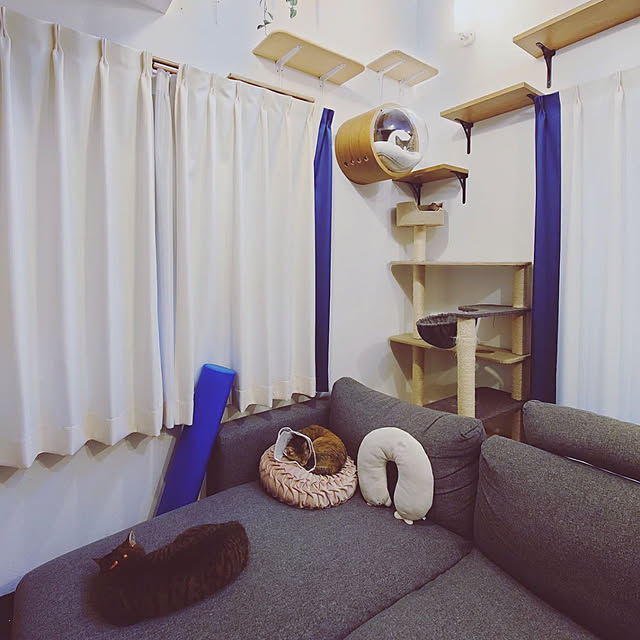 mochicoさんの実例写真