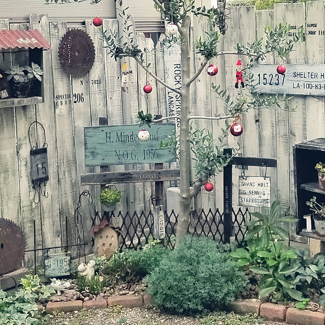 fukumiki+さんの実例写真