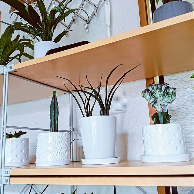 hanachanさんの部屋