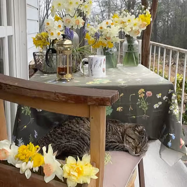 weさんの実例写真