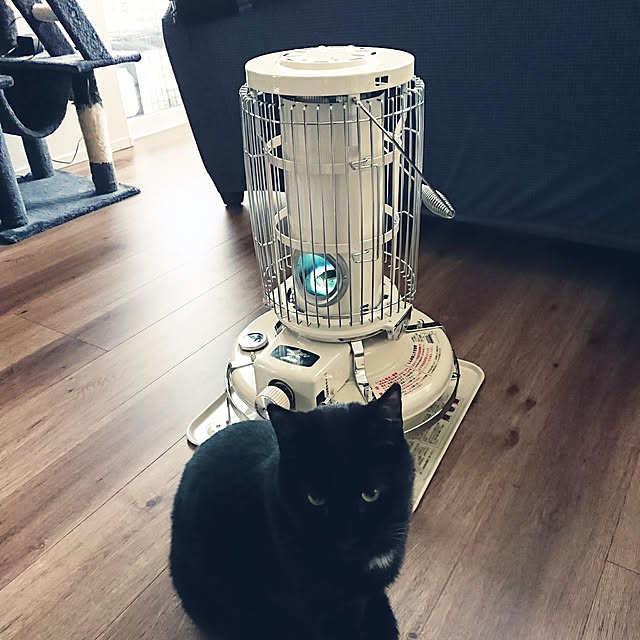jijicoさんの実例写真