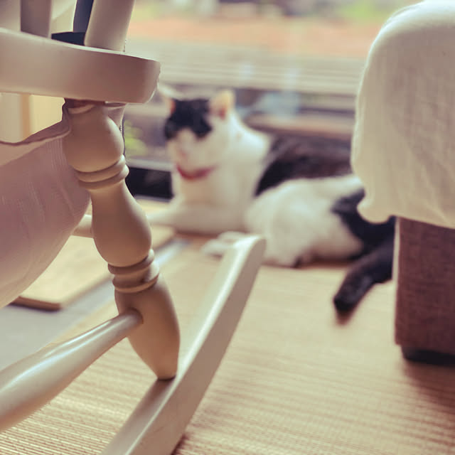 nekosamaさんの実例写真